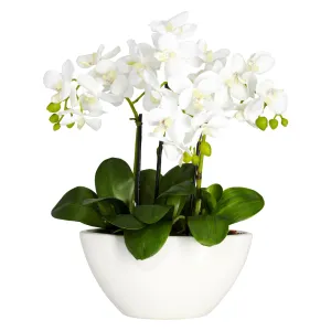 16" Artificial Phalaenopsis Silk Flower.