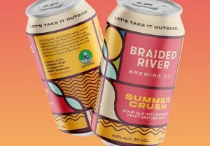 Braided River Summer Crush Sour Ale 6 pk