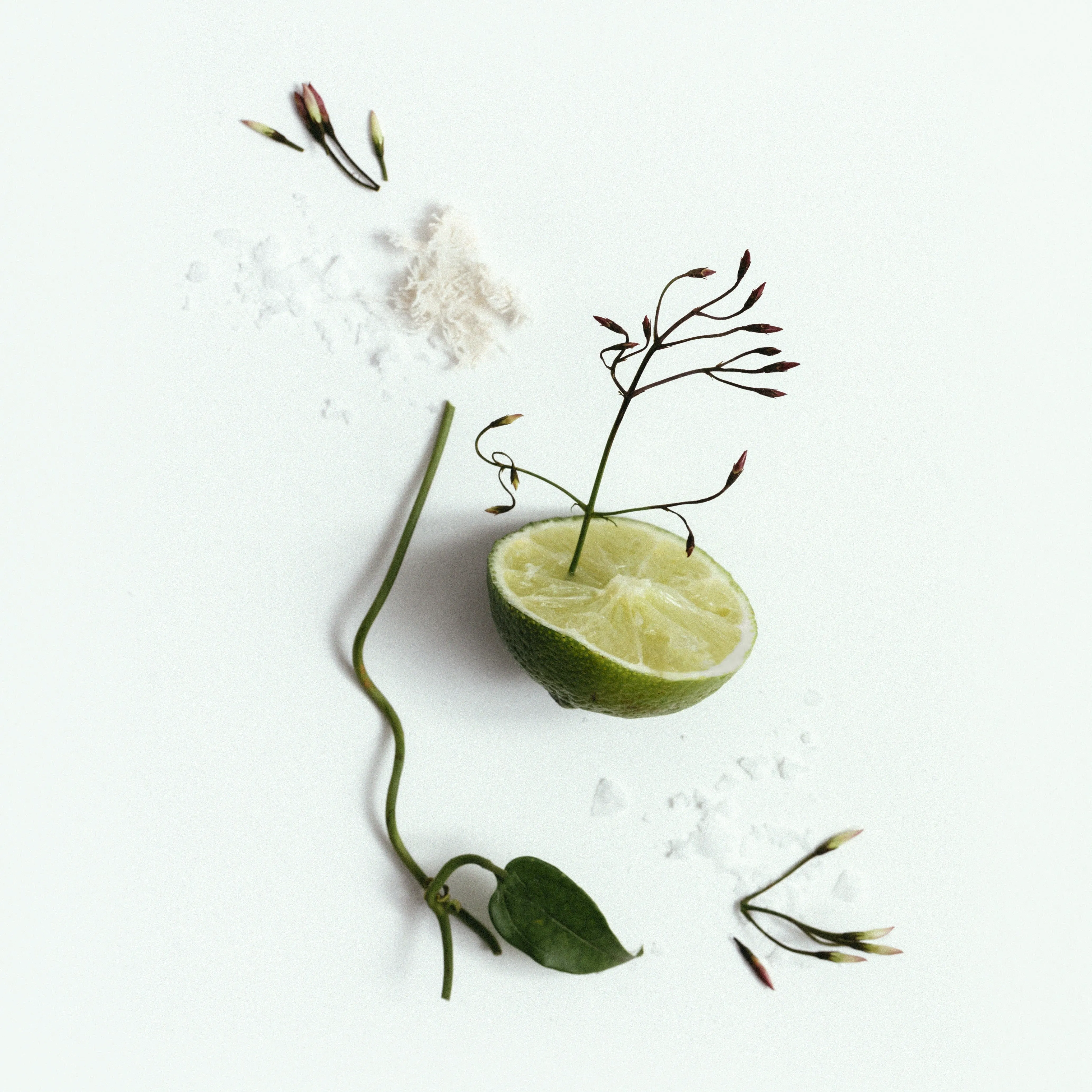 CORPUS - California Natural Deodorant
