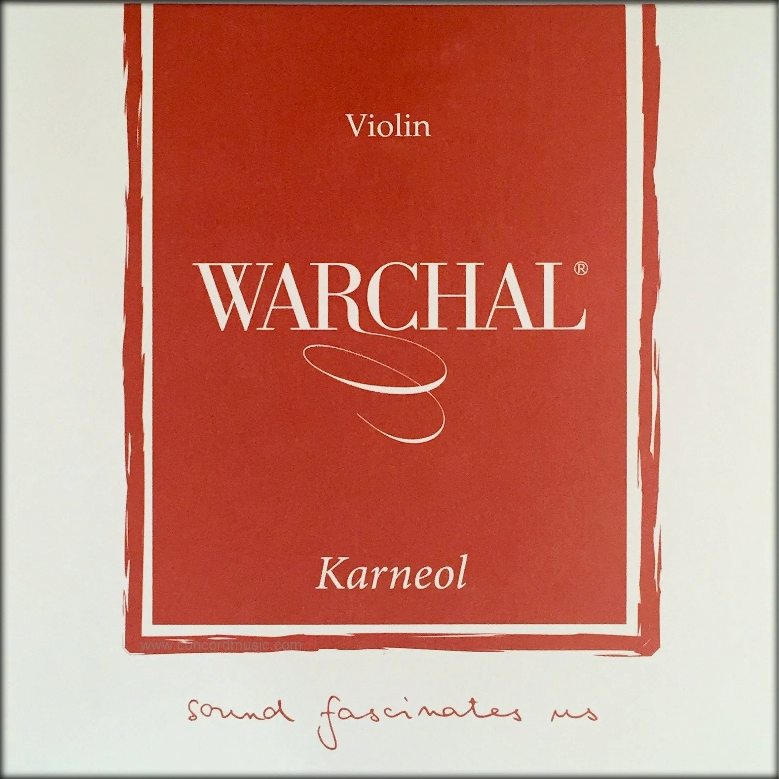 Warchal Karneol violin Set, synthetic core
